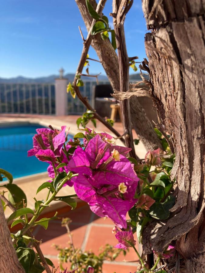 Casa La Quinta Panzió Ríogordo Kültér fotó